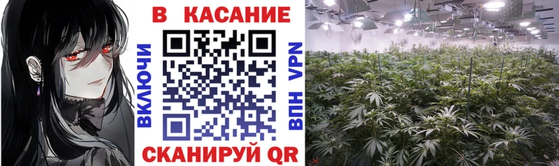 Купить закладку Метамфетамин  A PVP  Каннабис  Меф мяу мяу  КОКАИН  Ржев