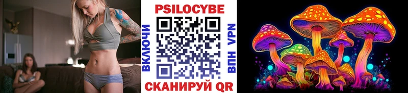 Купить  Ржев  Псилоцибиновые грибы Psilocybe 